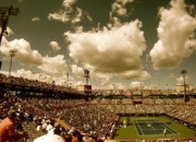 开云棋牌官方-英国网球队力克美国网球队，梅德韦杰夫制霸全场