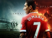 棋牌游戏-孤星破晓，霍勒迪的沉默与雄鹿的觉醒