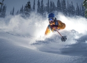 Kaiyuan Game Card-关键先生福克斯末节定乾坤，灰熊替补狂潮席卷老鹰