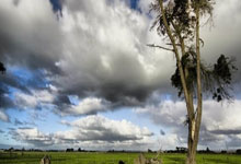 开云棋牌试玩-韩国羽毛球队绝地反击，戴资颖惊天逆转，羽坛风云再起