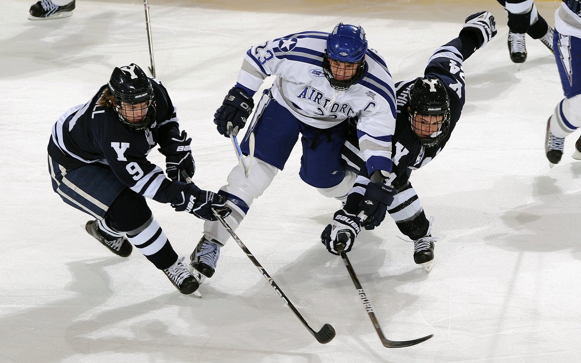 巴斯克雄狮的咆哮，毕尔巴鄂竞技如何以独特哲学制霸欧洲之巅