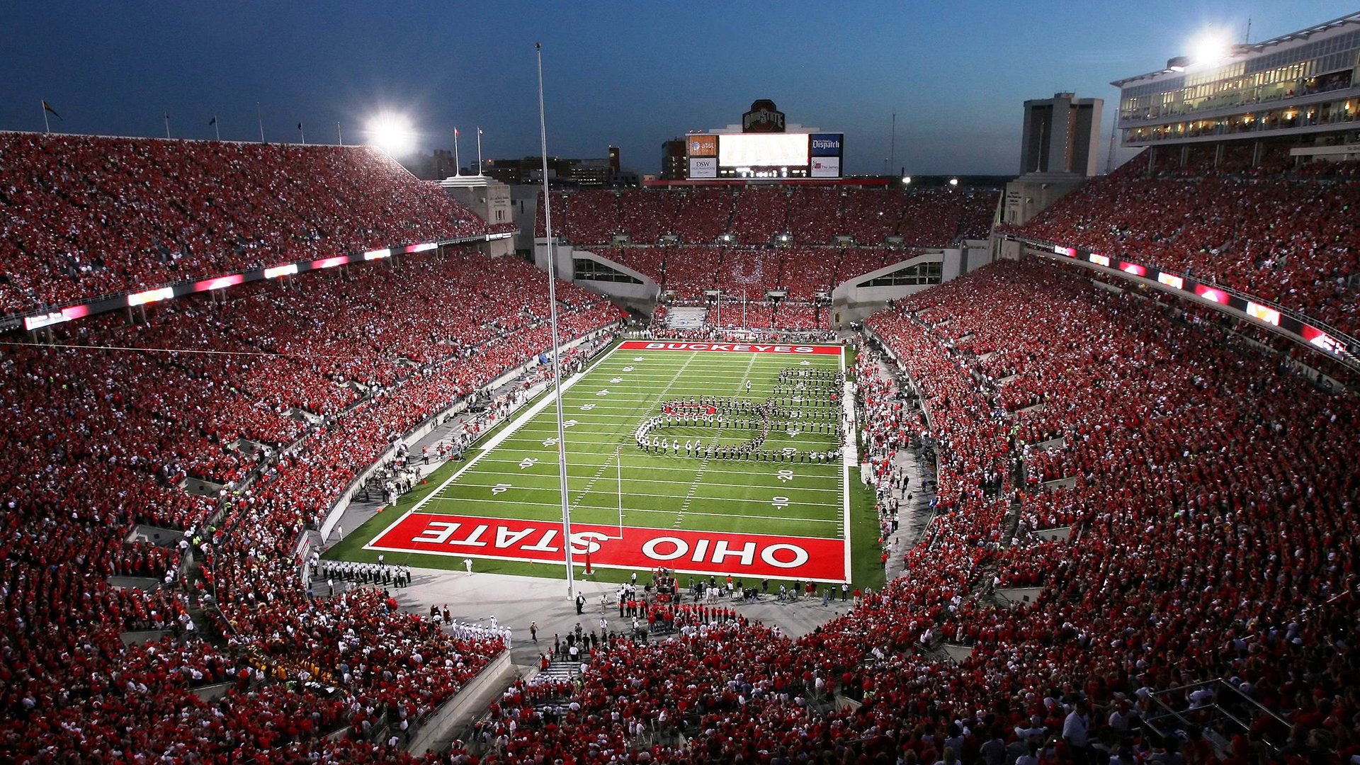 魔术带走灰熊,切特成为关键先生