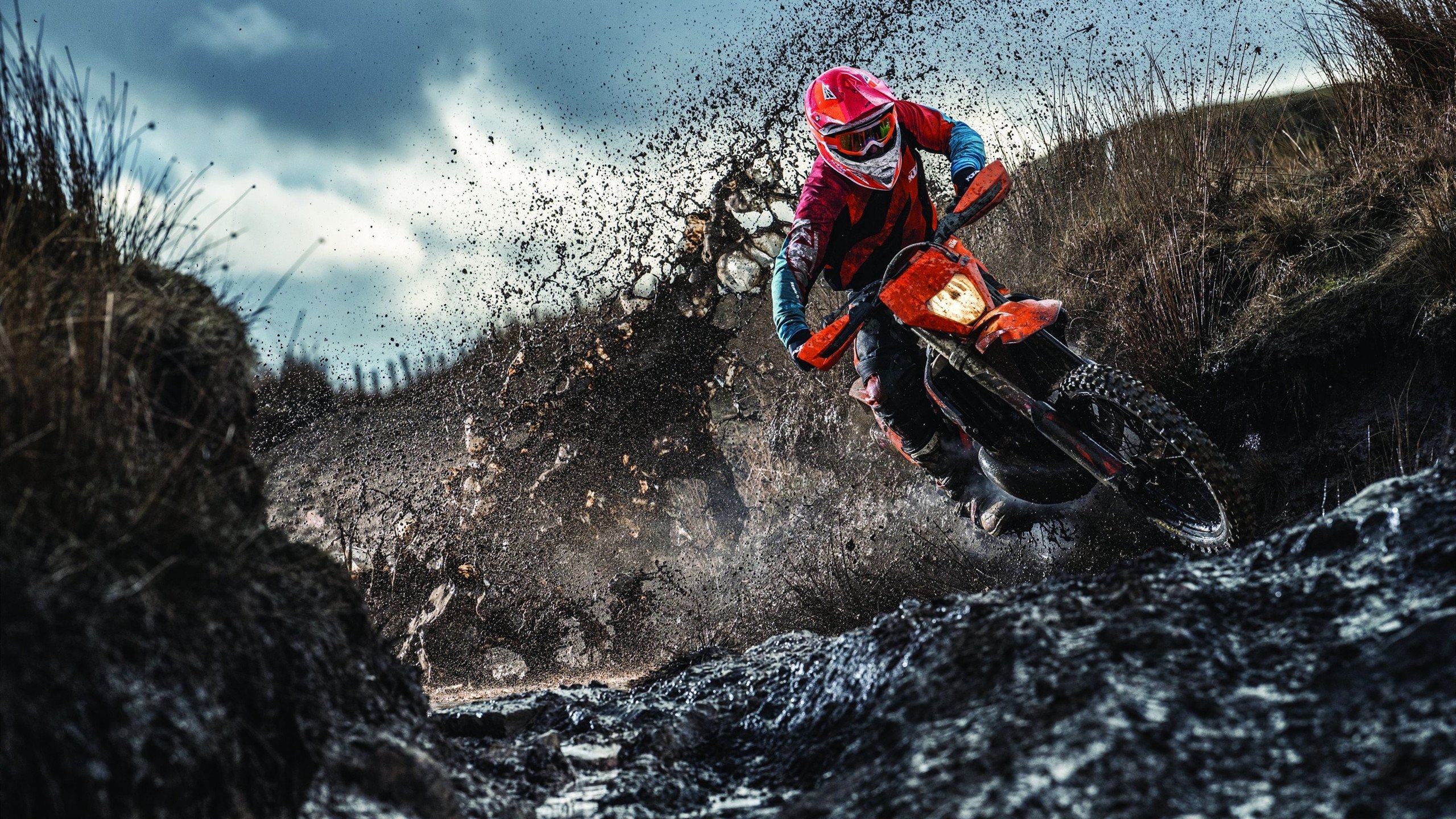 赛道上的独舞者,范弗利特在F1街道赛之夜的完美绽放